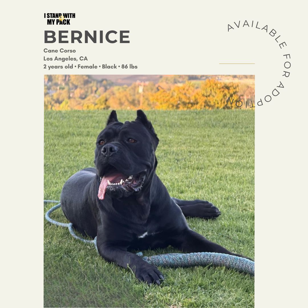 Bernice-1
