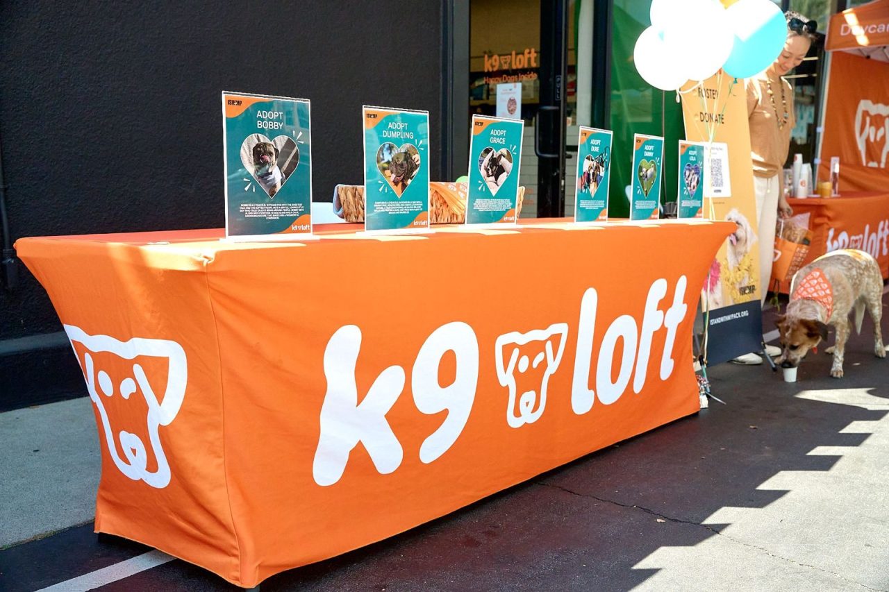 https://istandwithmypack.org/wp-content/uploads/2026/04/Welcoming-Spring-at-K9-Loft-Adoption-Event-1280x853.jpeg