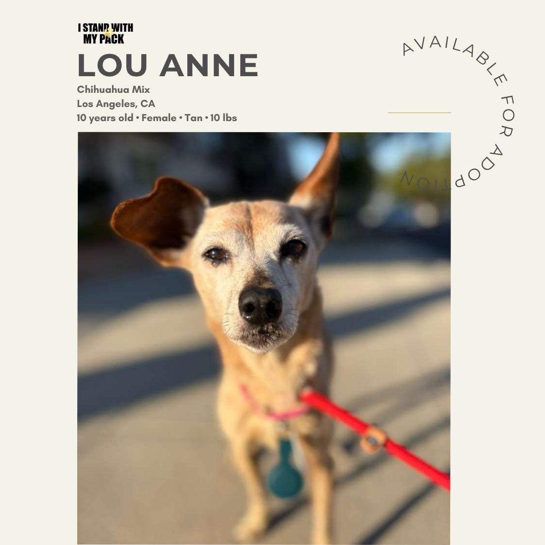 Lou Anne-1 Lou Anne-1