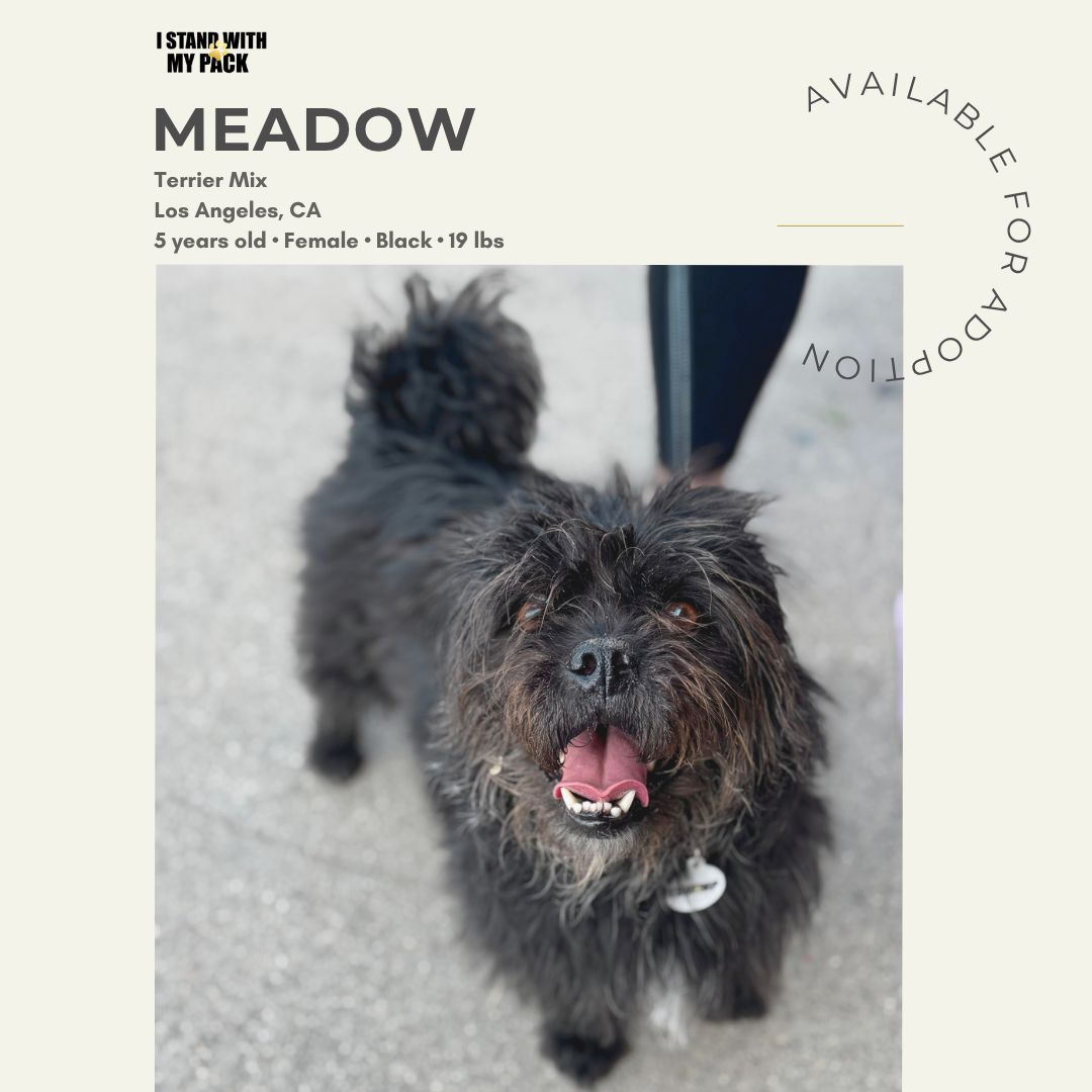 Meadow-1