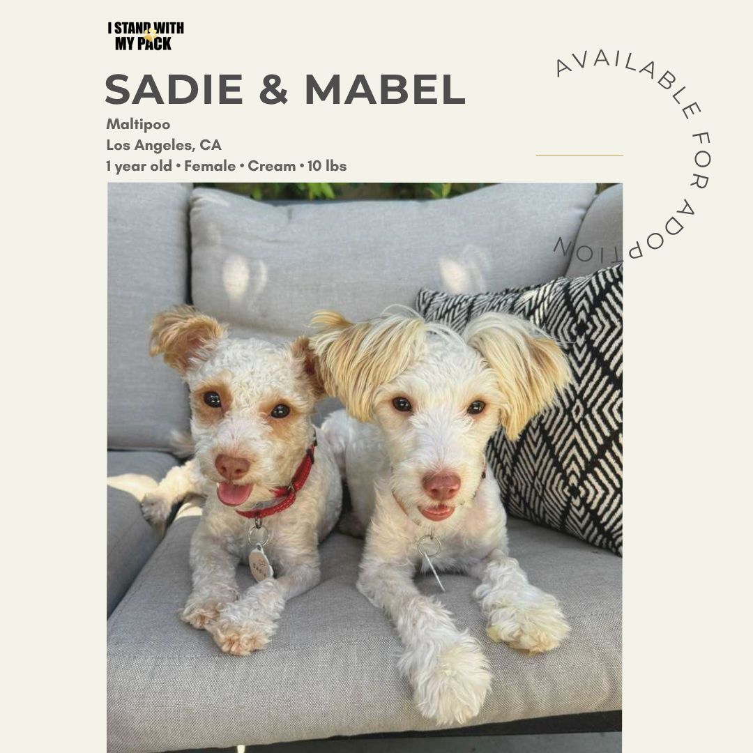 Sadie and Mabel New-1 Sadie and Mabel New-1