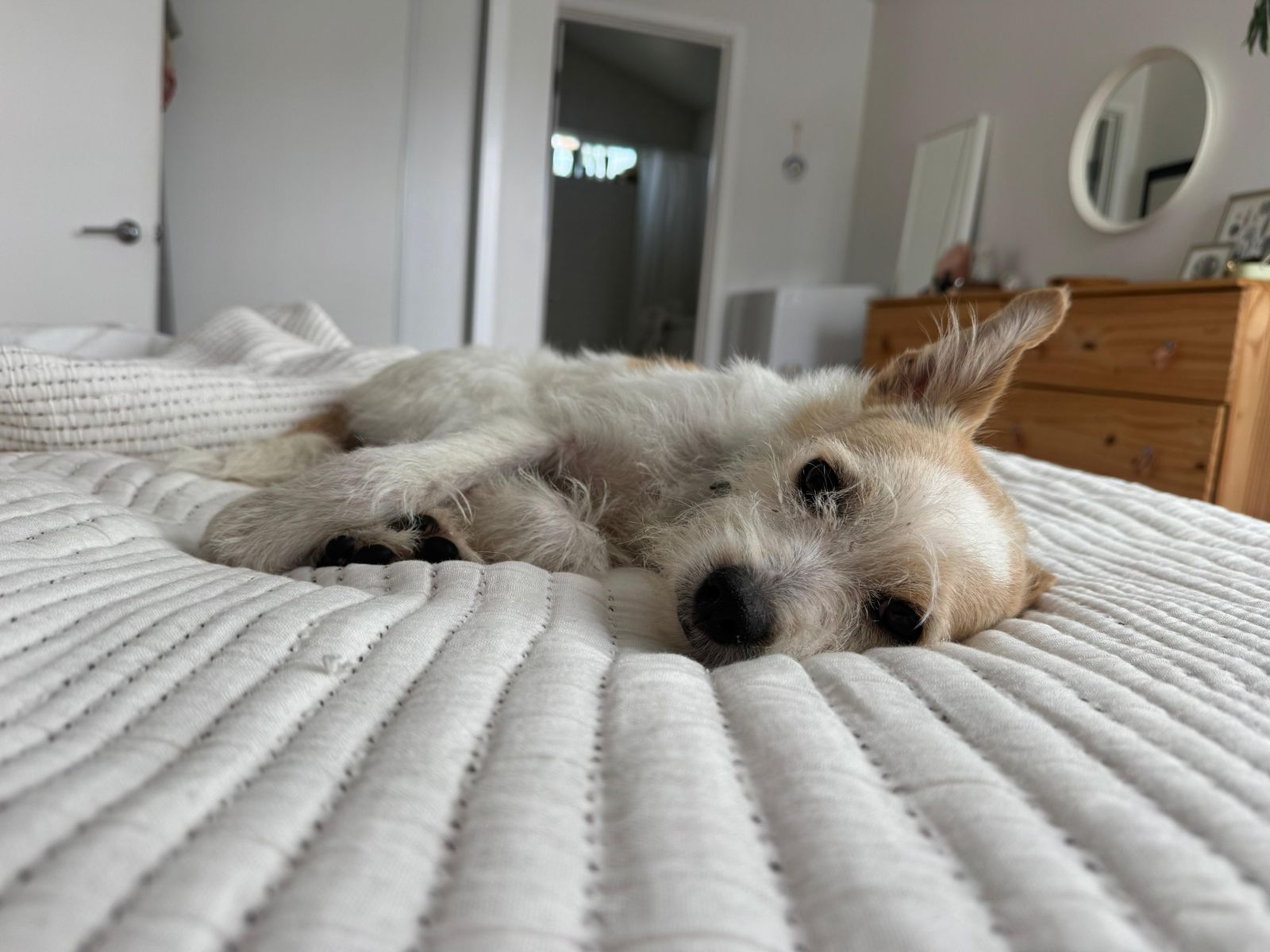 Archie-2 Archie-2