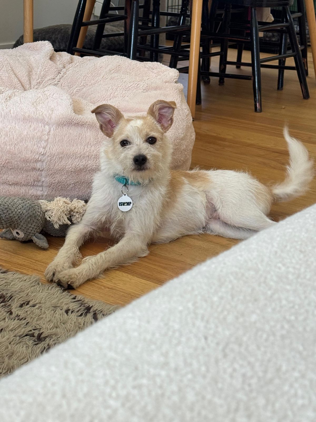 Archie-3 Archie-3