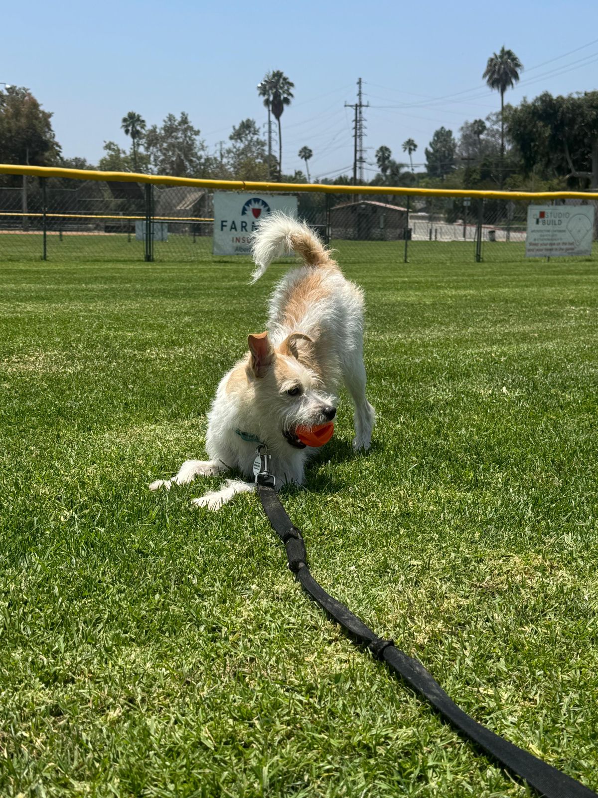 Archie-4 Archie-4