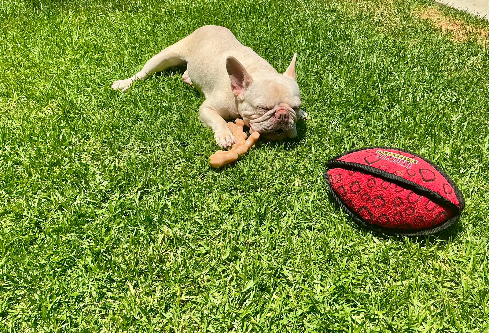 Bruno-4 Bruno-4