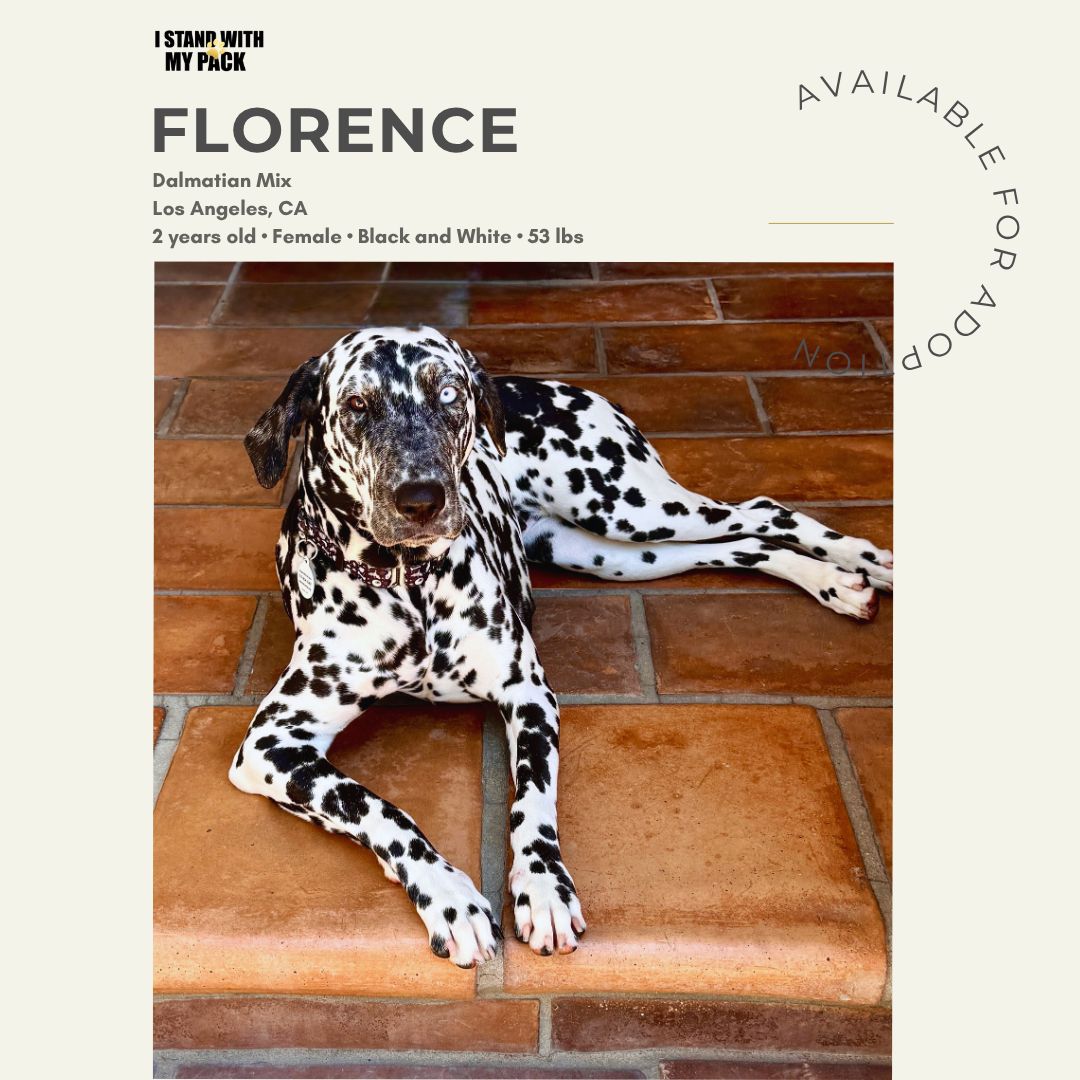 Florence-1