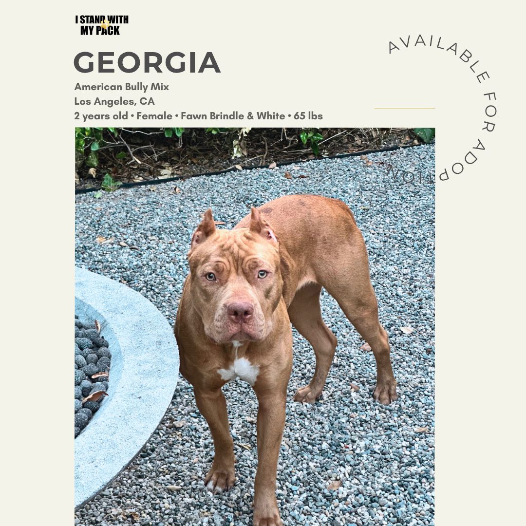 Georgia-1