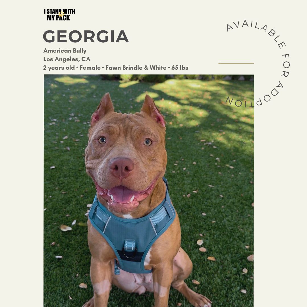 Georgia New-1