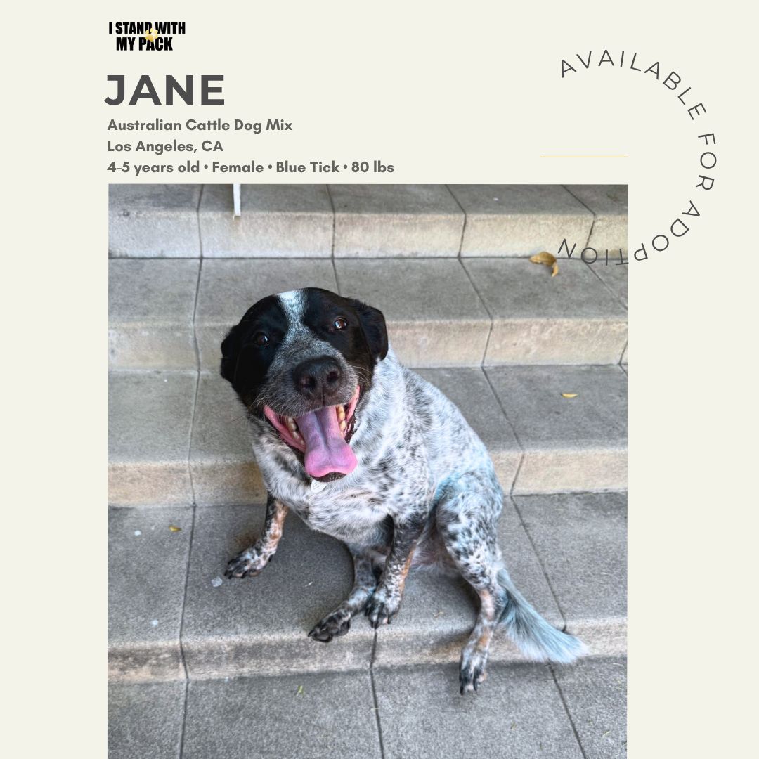 Jane-1 Jane-1