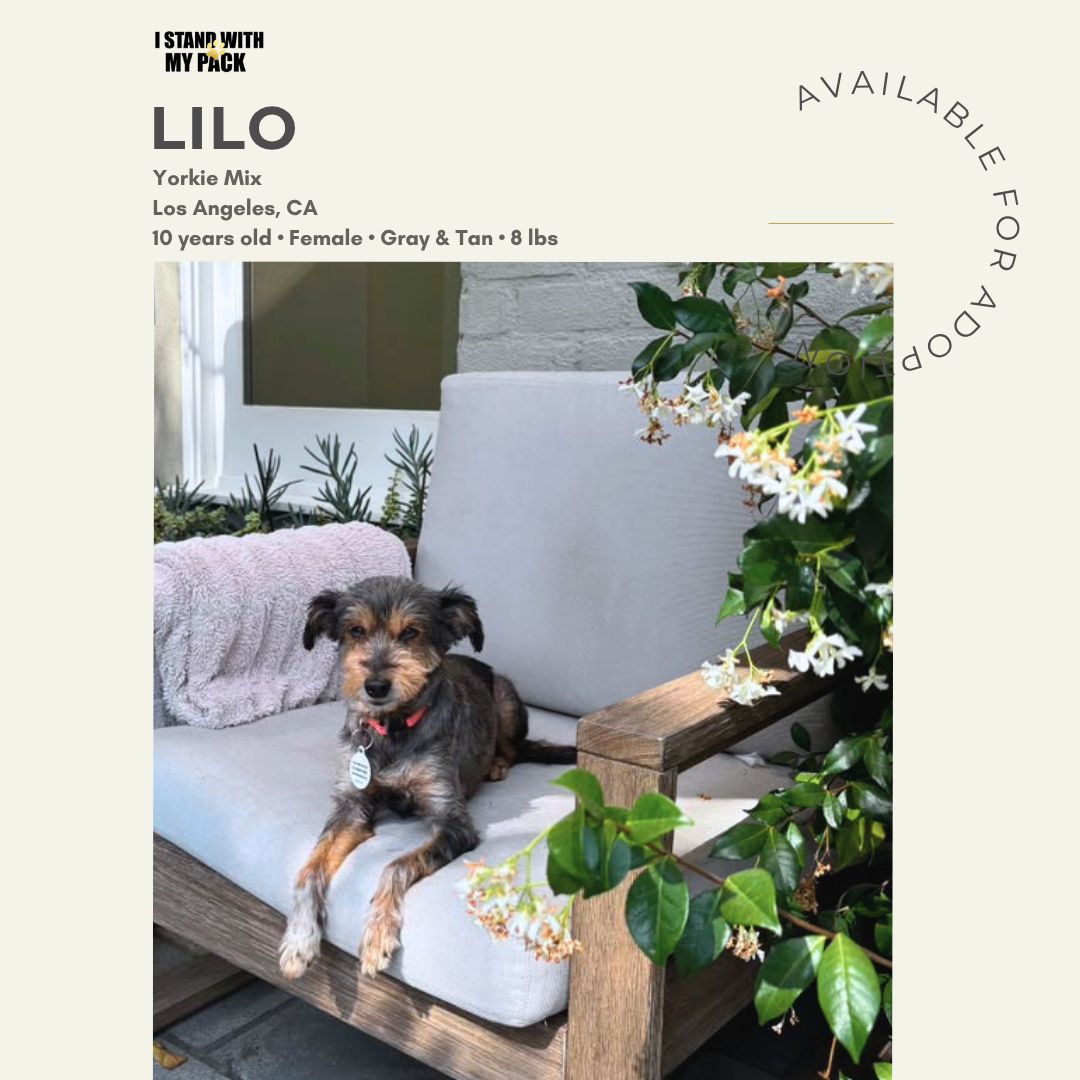 Lilo-1