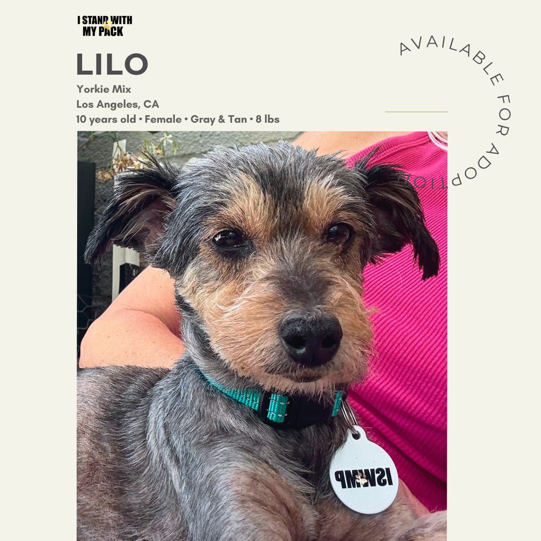 Lilo-1 Lilo-1
