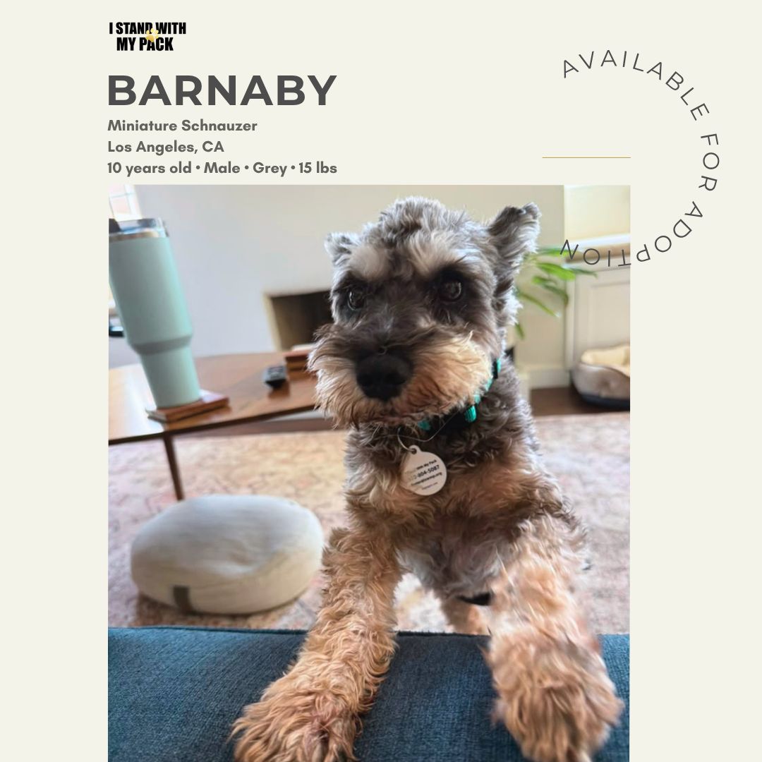 Barnaby-1