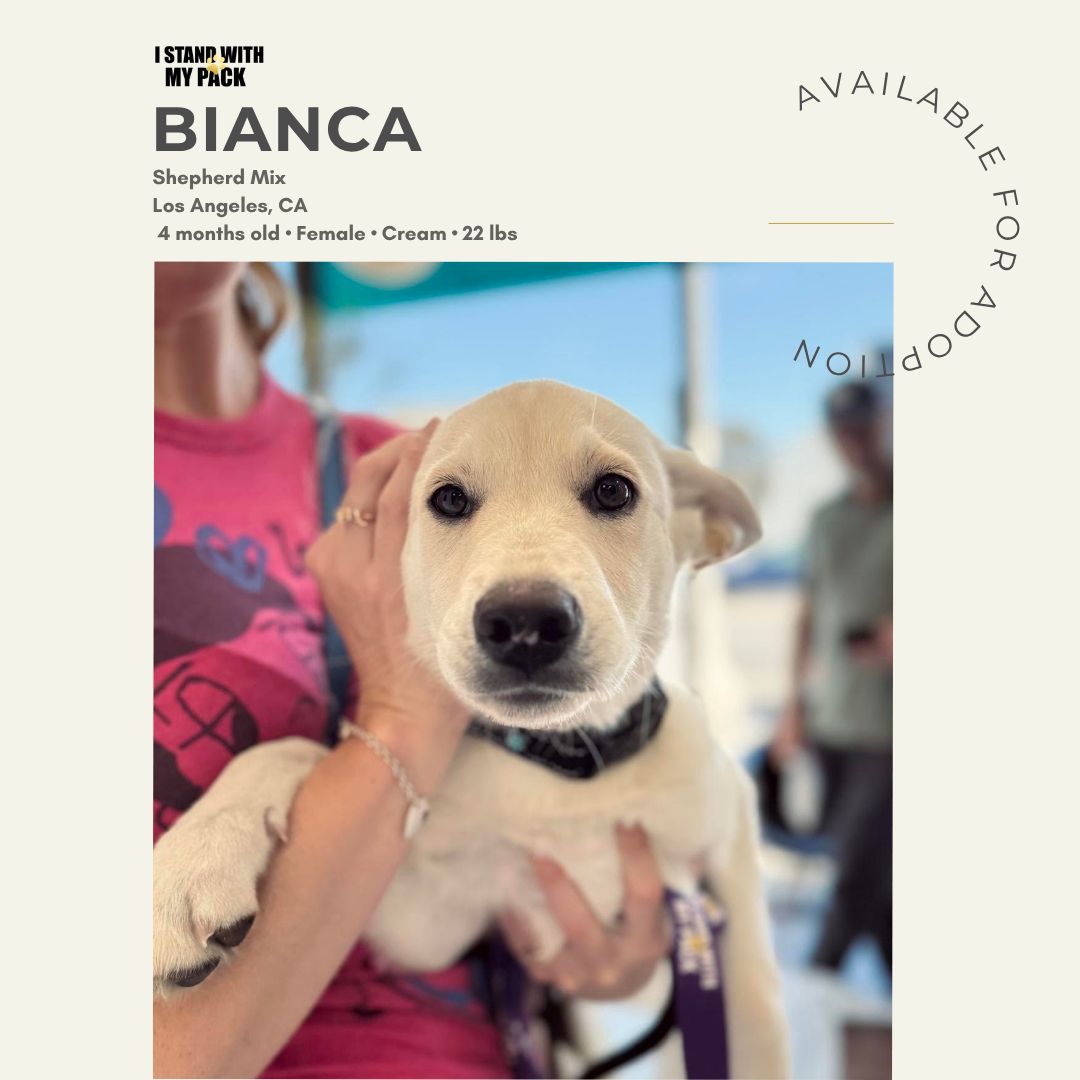 Bianca-1 Bianca-1