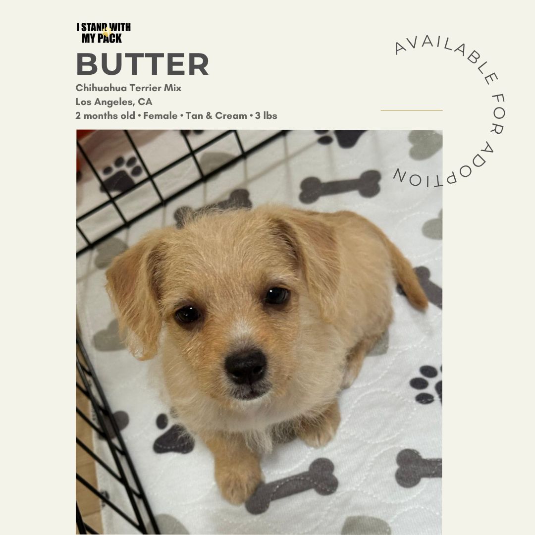 Butter-1
