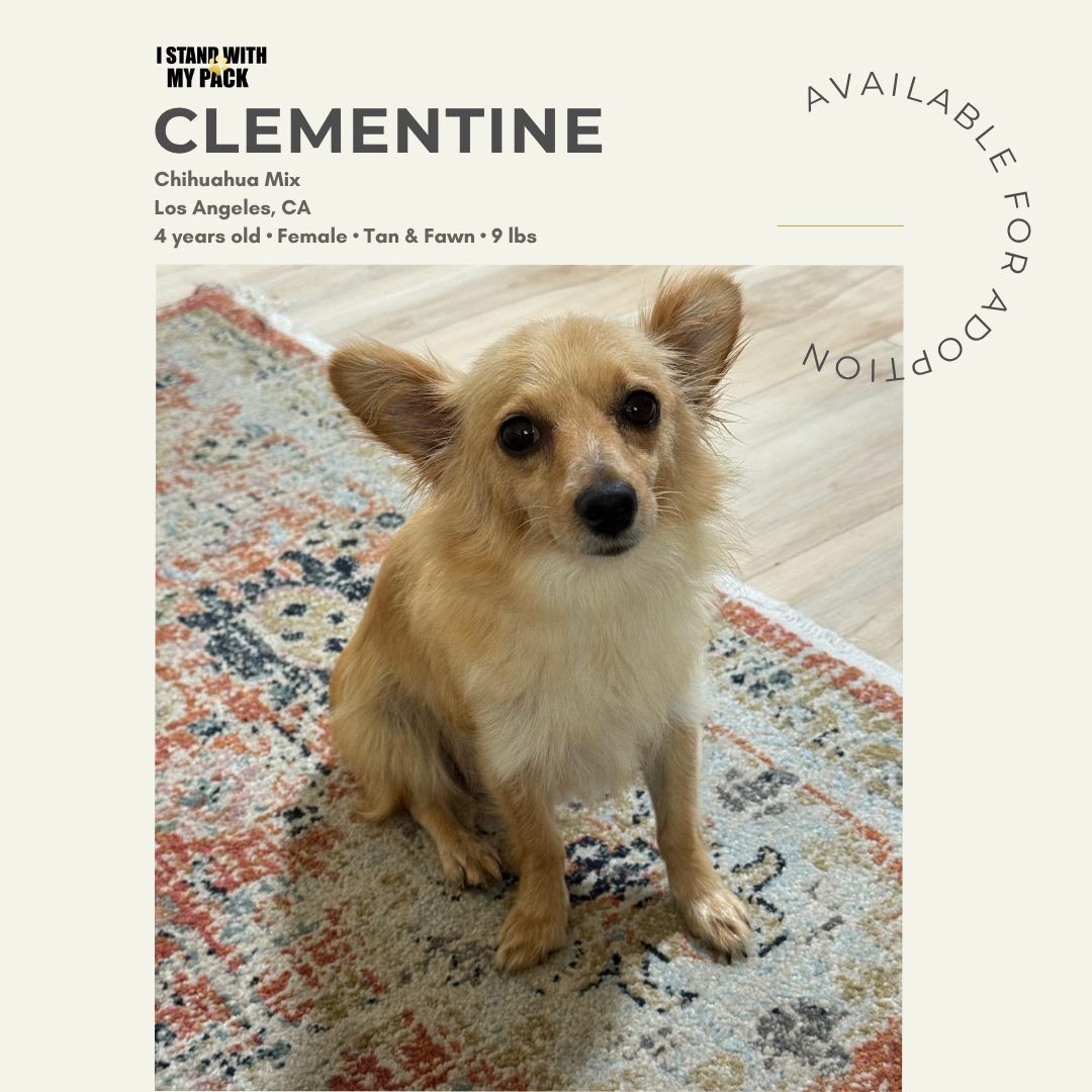 Clementine-1