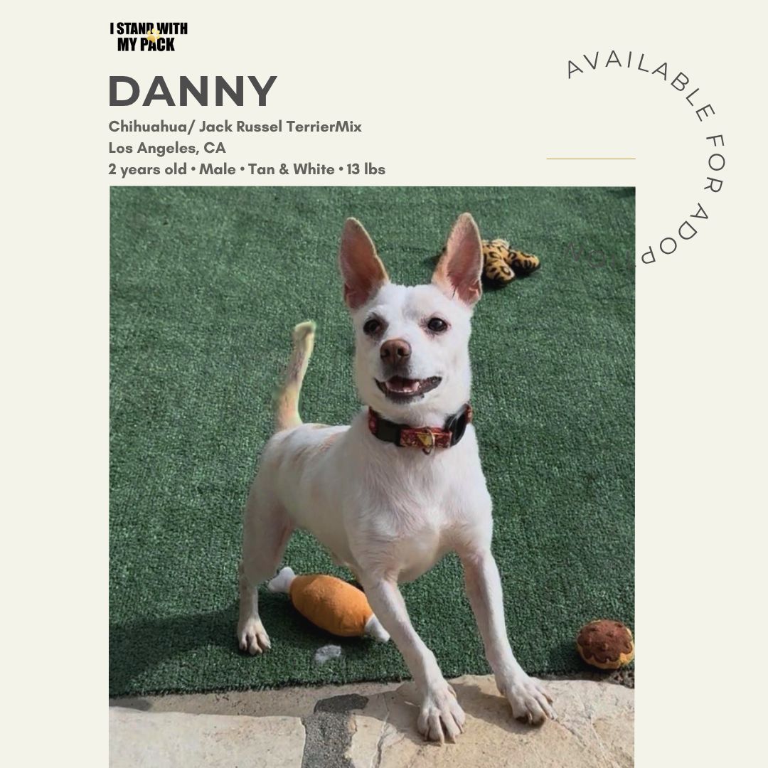 Danny-1