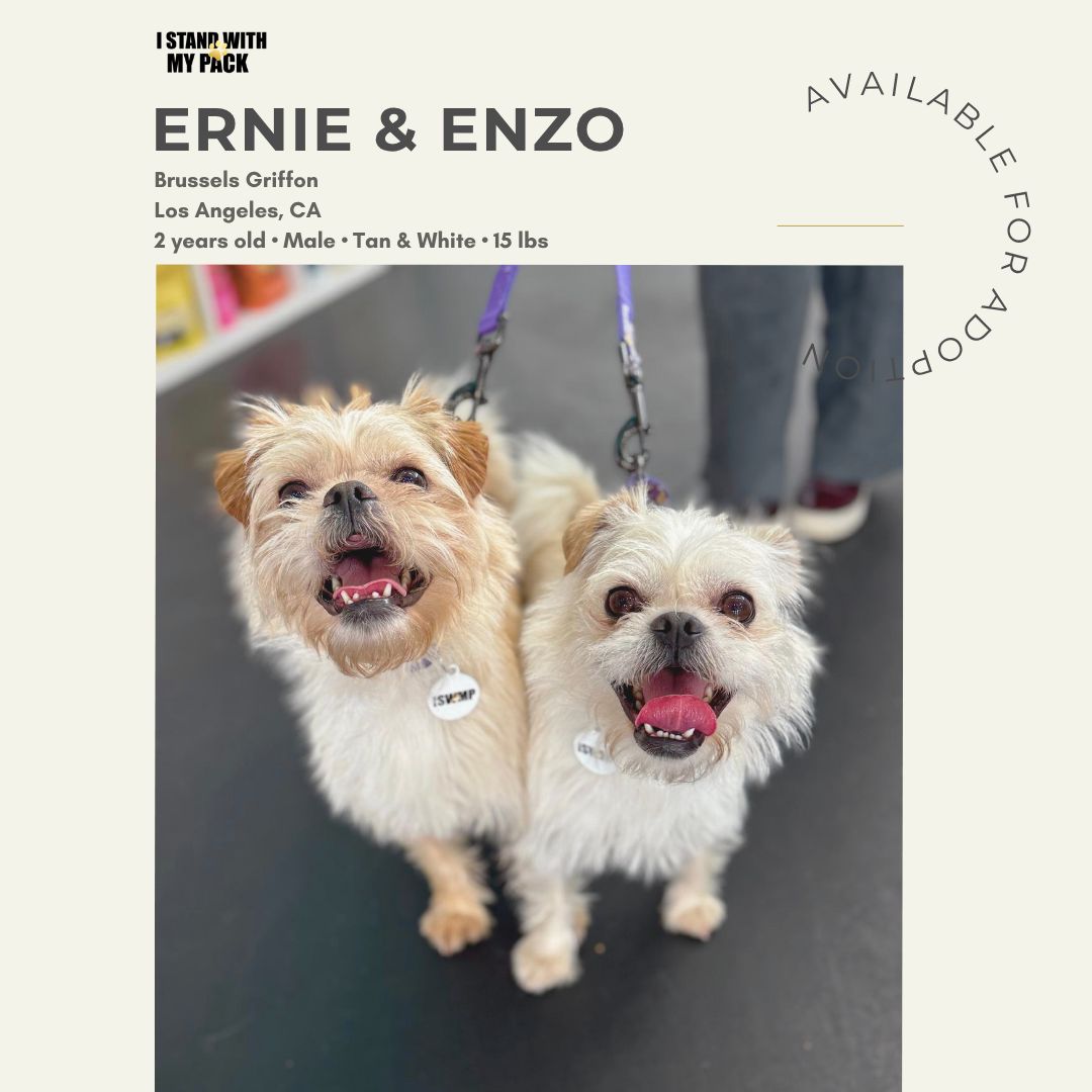Ernie & Enzo-1