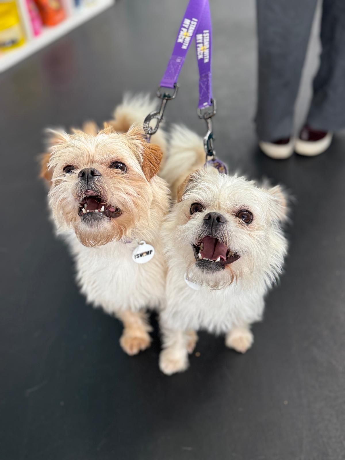 Ernie & Enzo-3