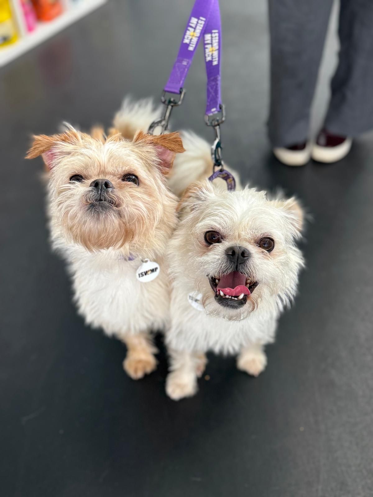 Ernie & Enzo-4