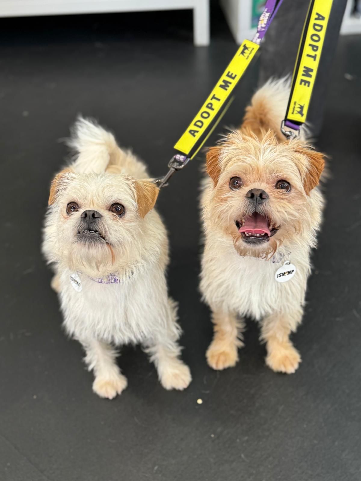 Ernie & Enzo-5