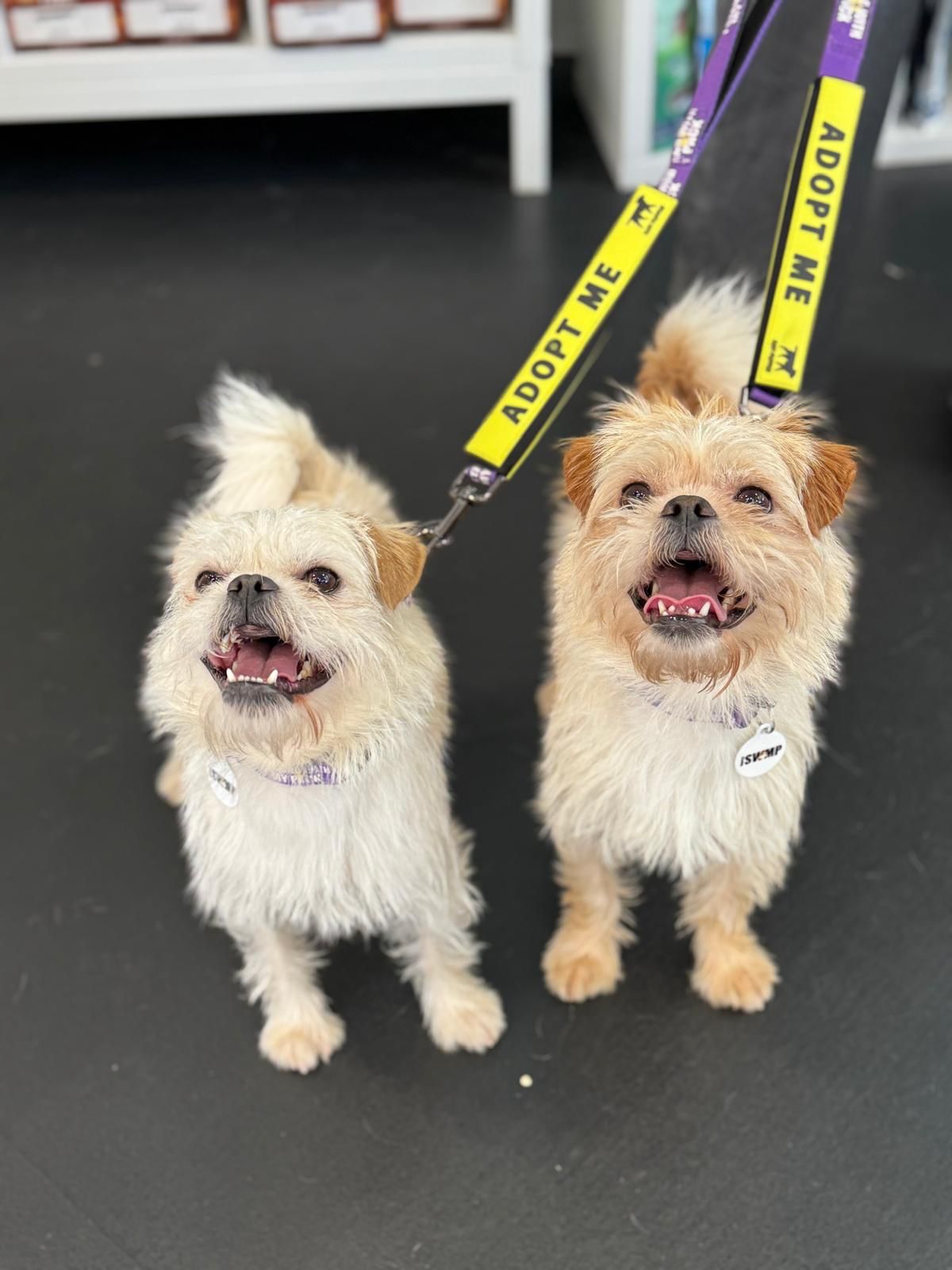 Ernie & Enzo-6