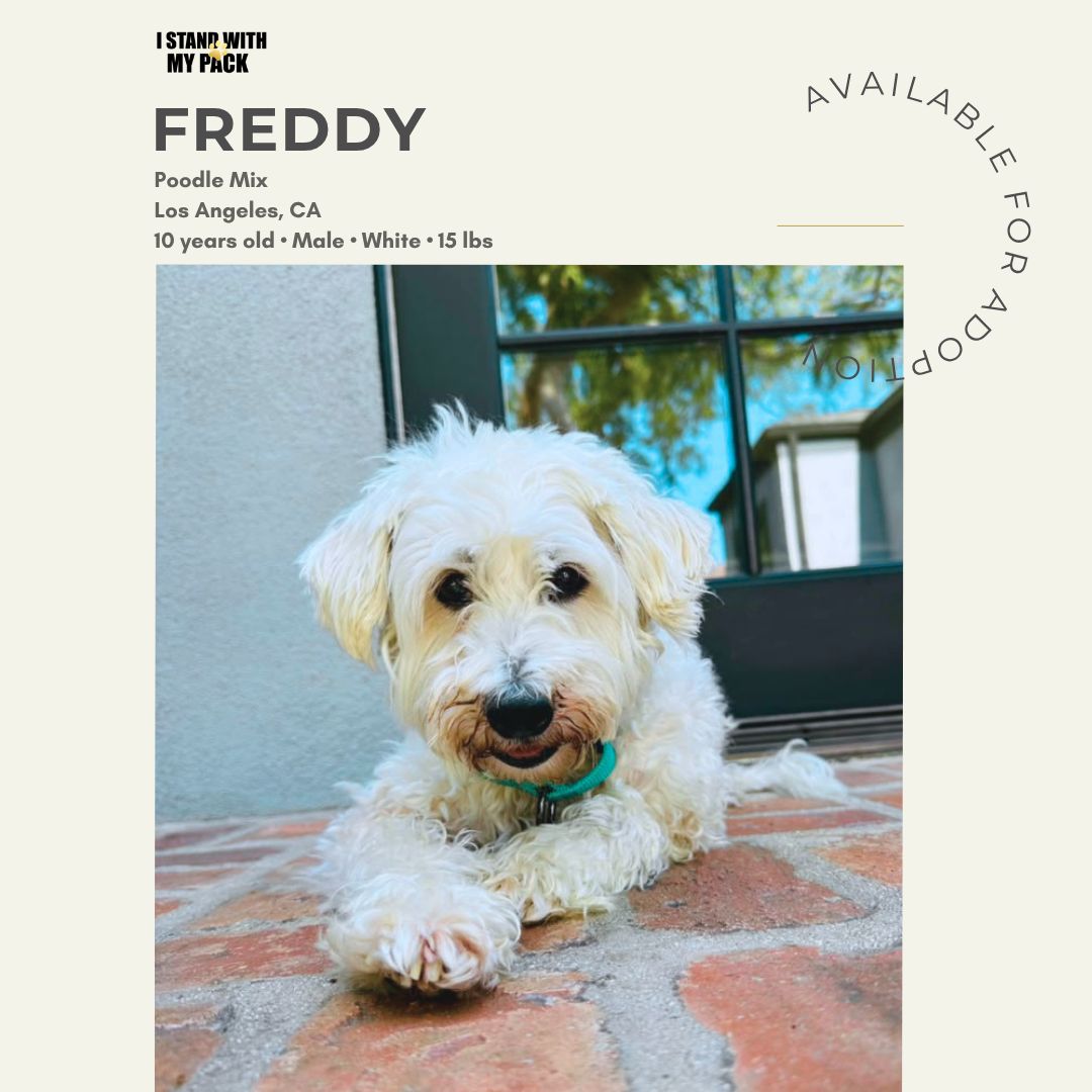 Freddy-1