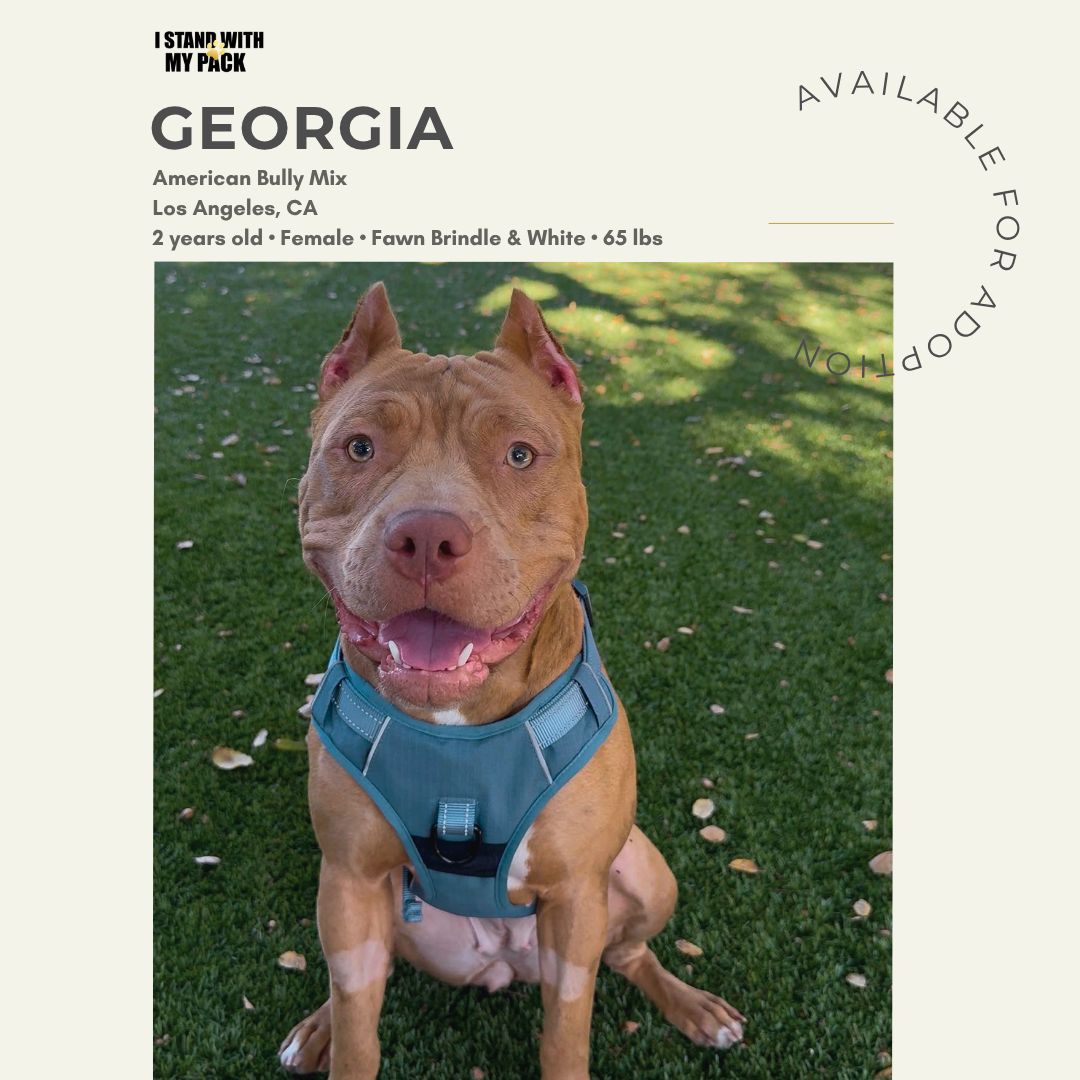 Georgia