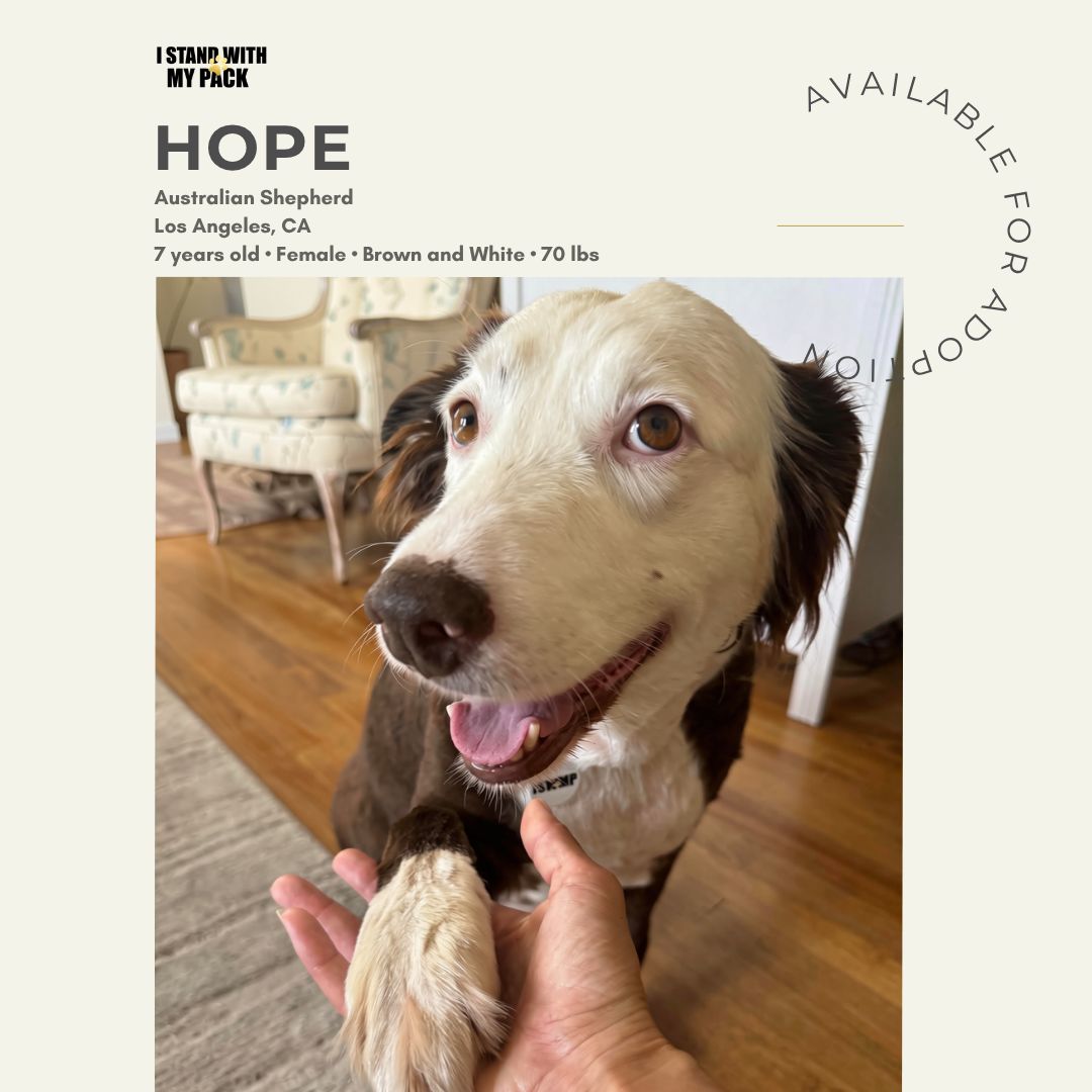 Hope-1