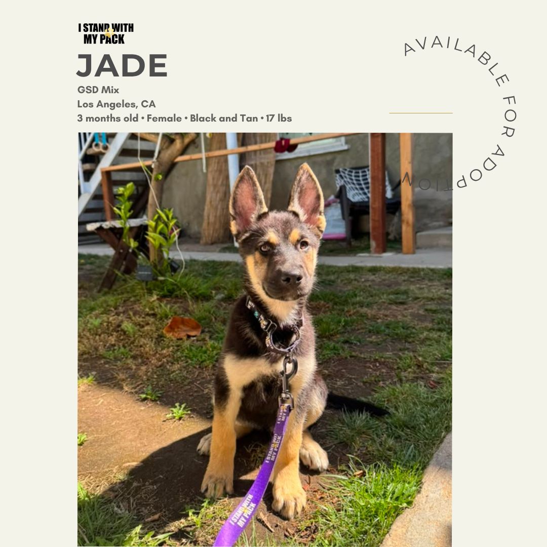 Jade-1 Jade-1
