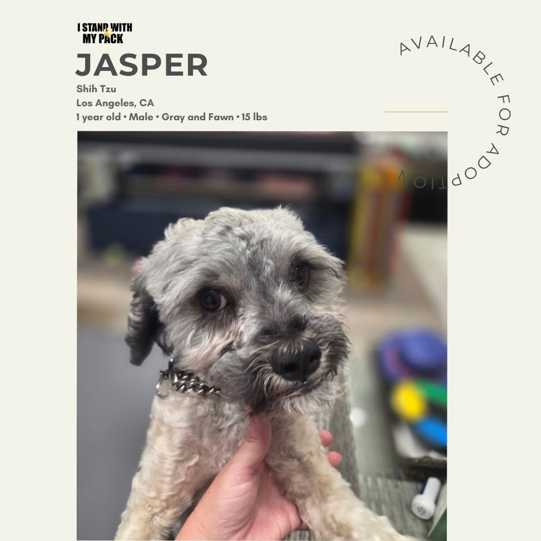 Jasper-1