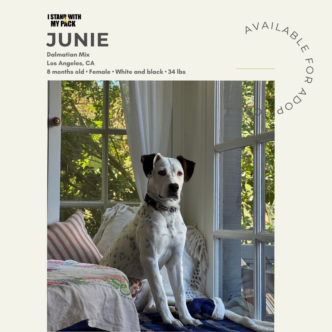 Junie