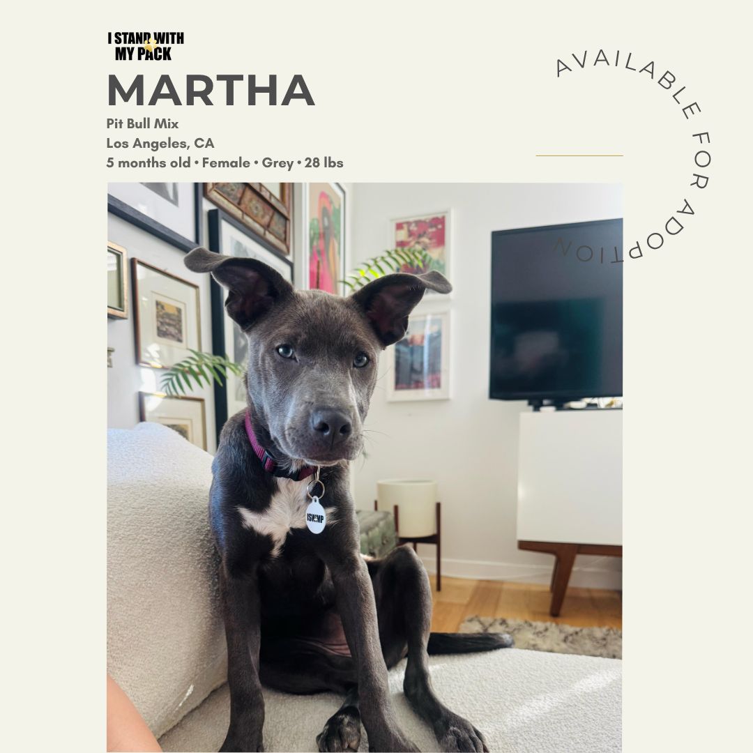 Martha New-1