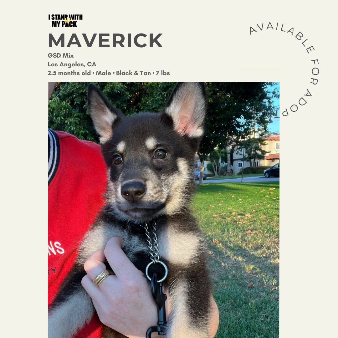 Maverick-1 Maverick-1
