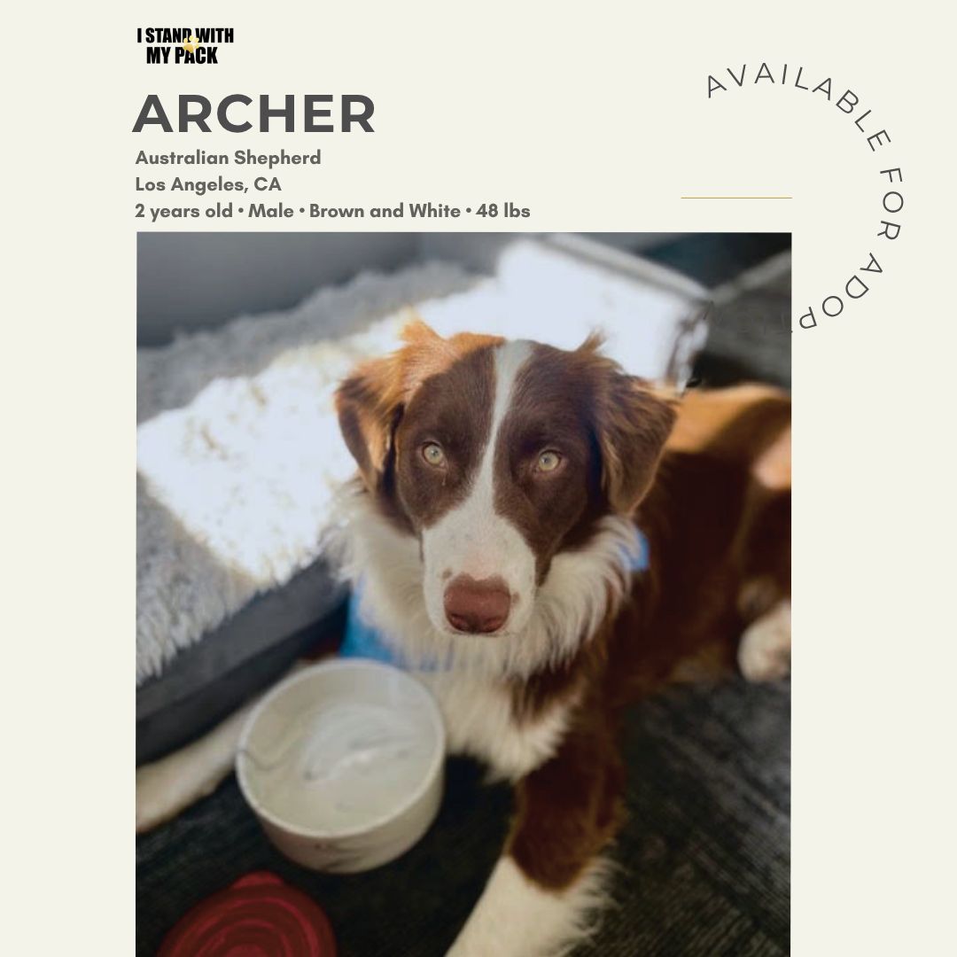 Archer-1
