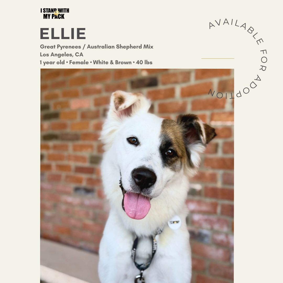 Ellie-1 Ellie-1