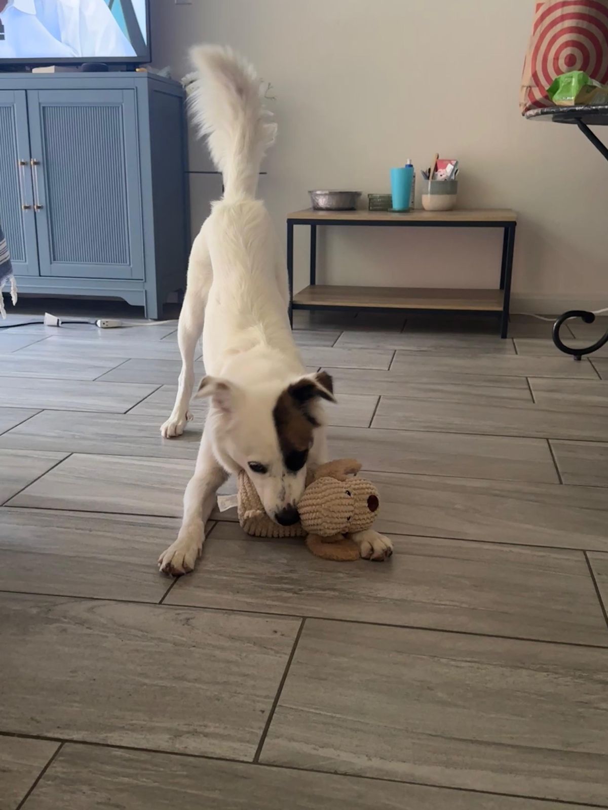 Ellie-4 Ellie-4