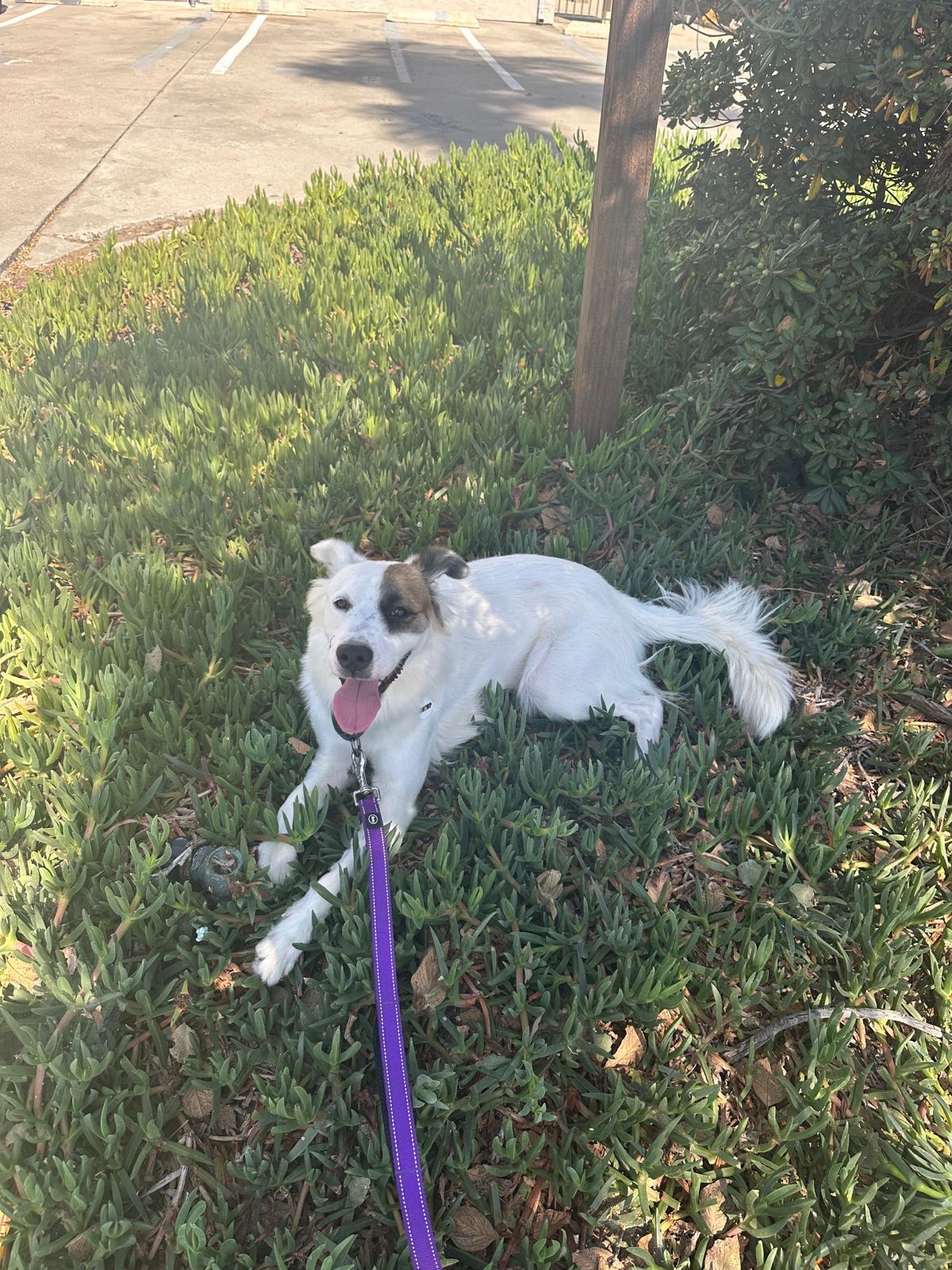Ellie-5 Ellie-5