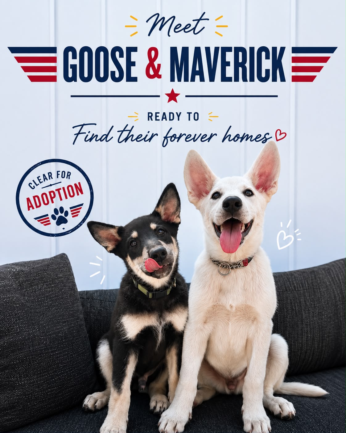 Goose-5
