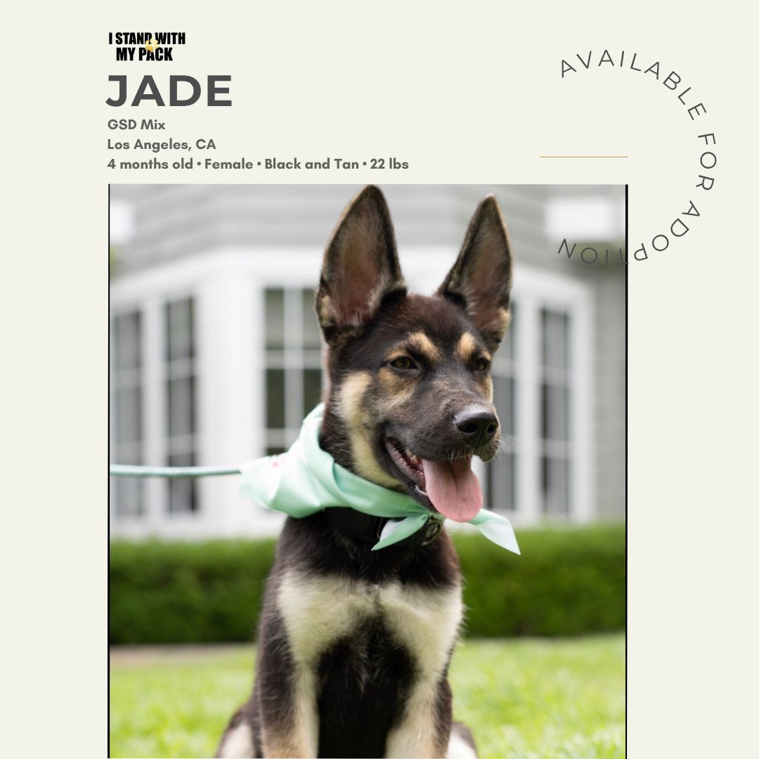 Jade-1