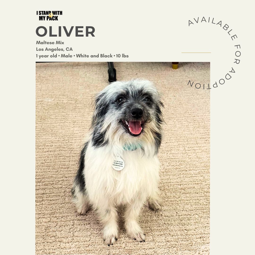 Oliver-1