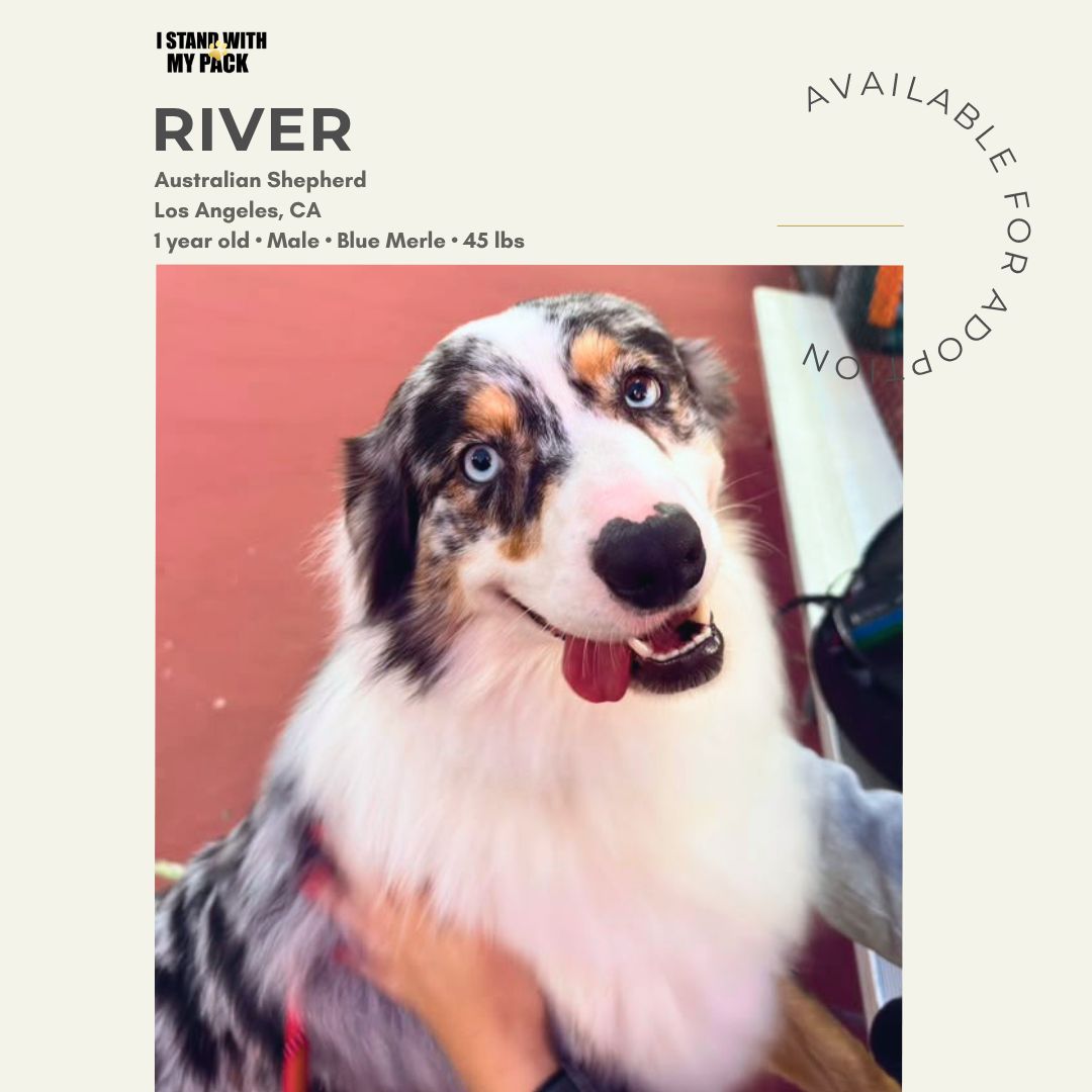 River-1