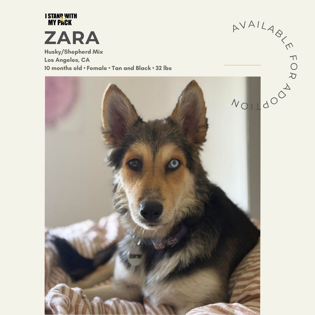 Zara-1