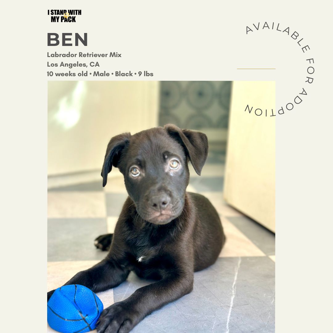Ben-1 Ben-1