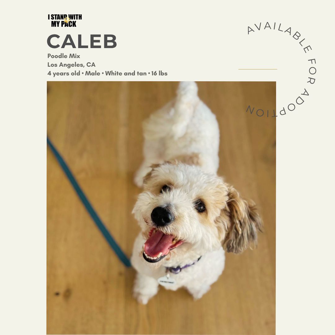 Caleb-1