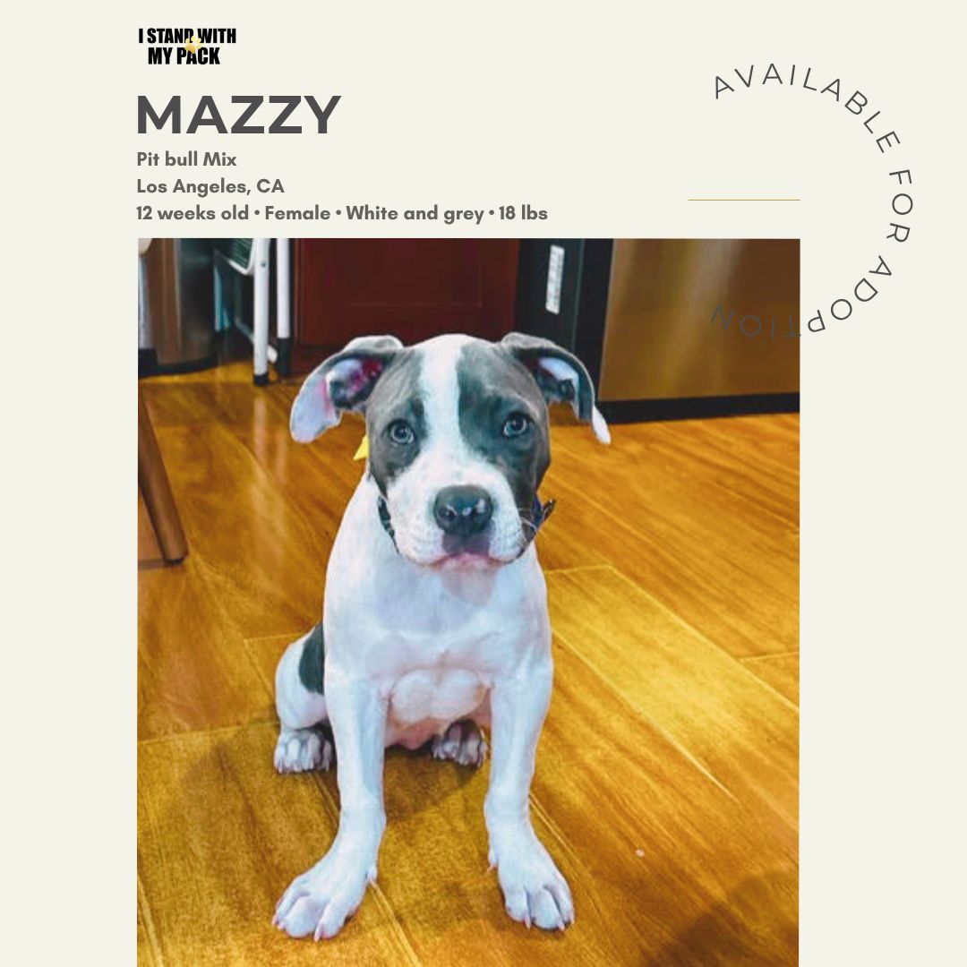 Mazzy-1