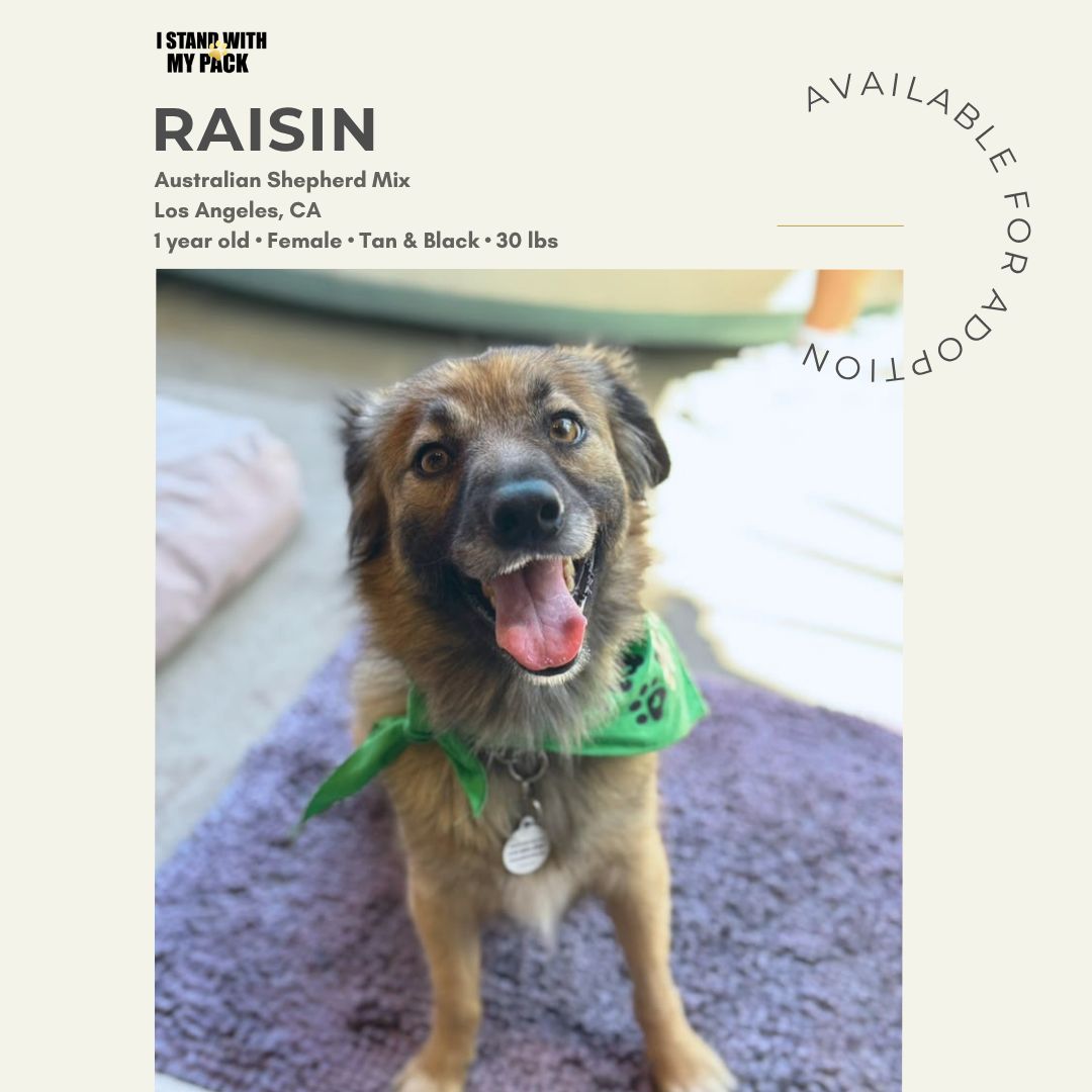 Raisin-1