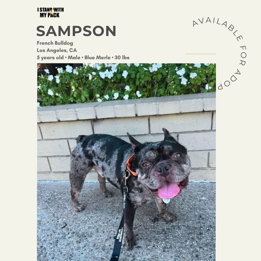 Sampson-1