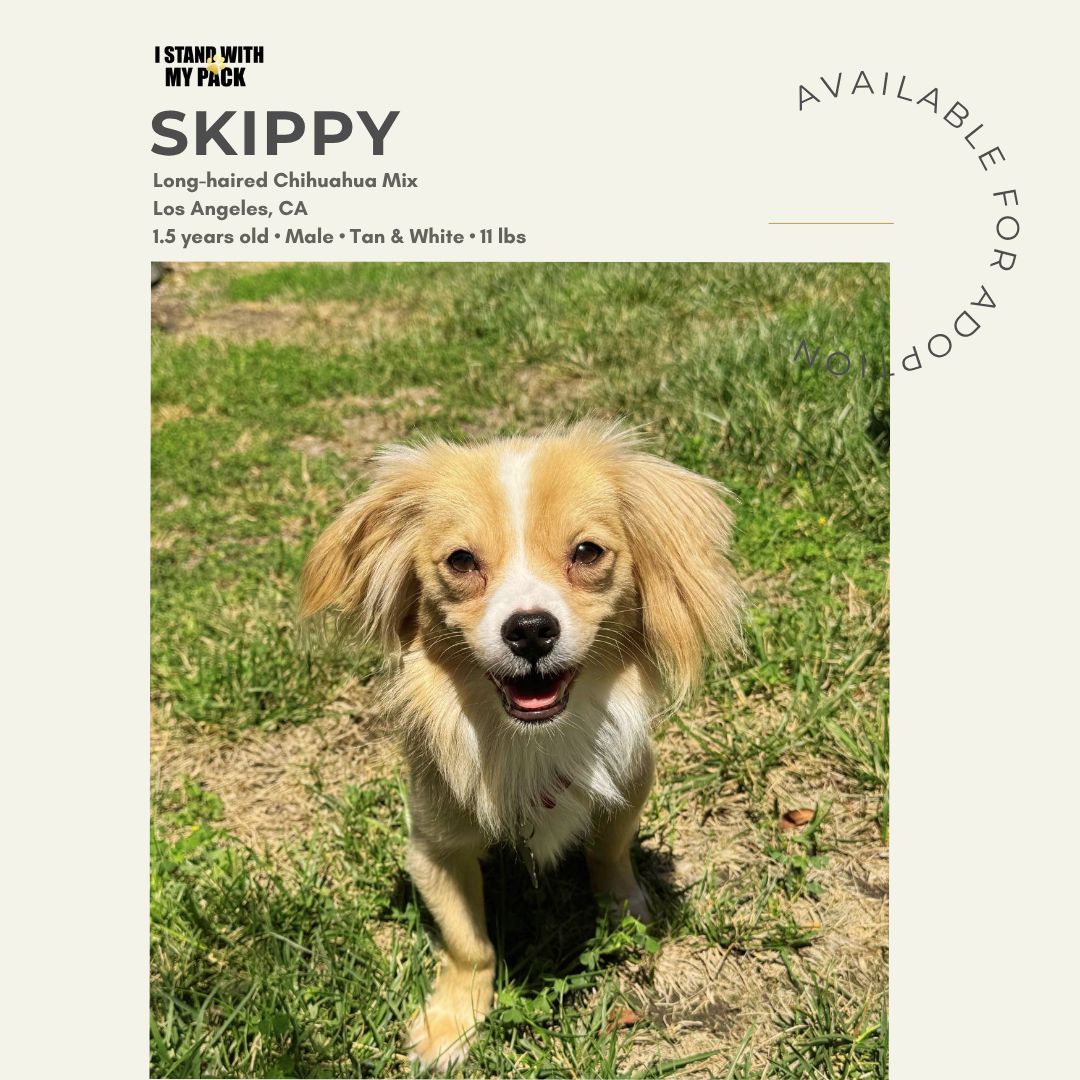 Skippy-1
