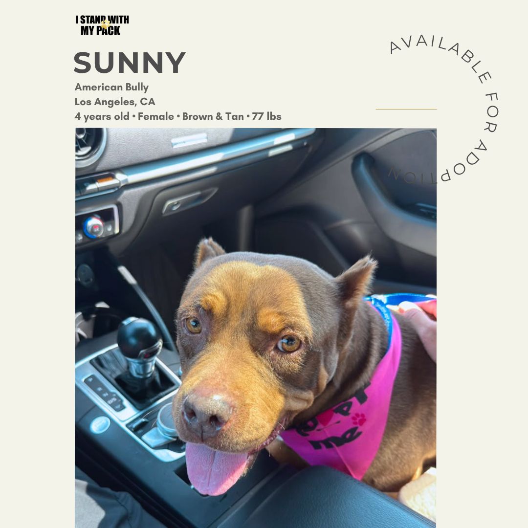 Sunny-1 Sunny-1