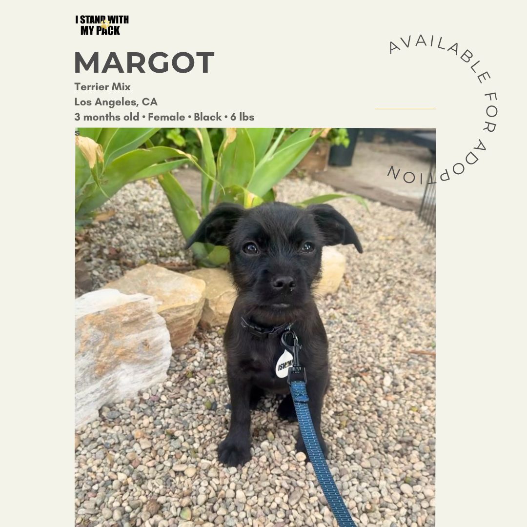 Margot-1 Margot-1